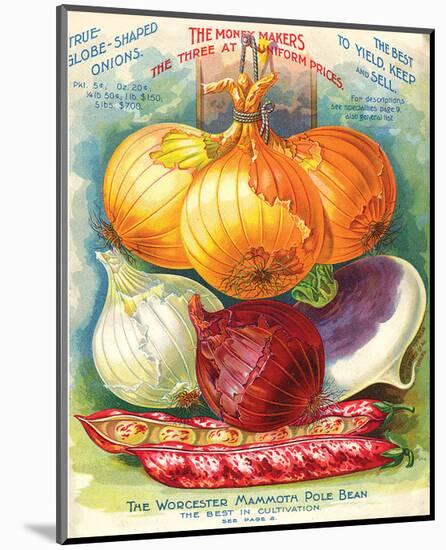 True Globe Shaped Onions-null-Mounted Art Print