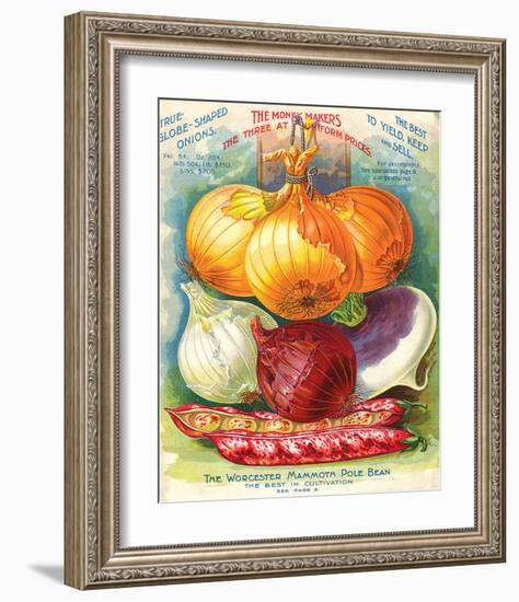 True Globe Shaped Onions-null-Framed Art Print