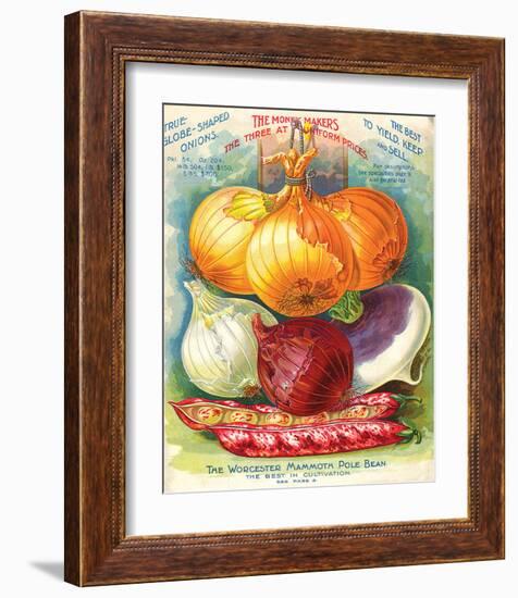 True Globe Shaped Onions-null-Framed Art Print