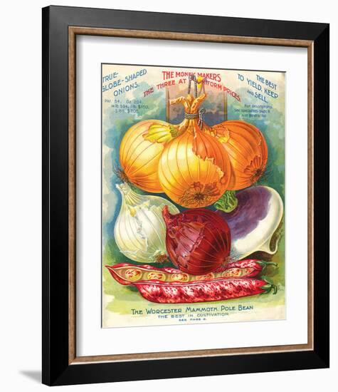 True Globe Shaped Onions-null-Framed Art Print