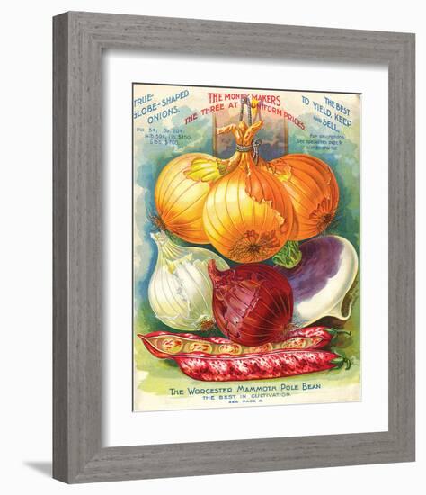 True Globe Shaped Onions-null-Framed Art Print