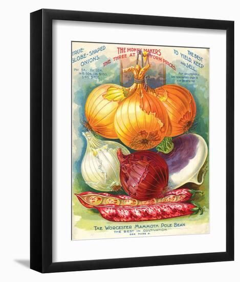 True Globe Shaped Onions-null-Framed Art Print