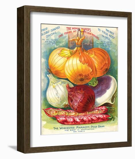 True Globe Shaped Onions-null-Framed Art Print