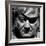 True Grit, John Wayne, 1969-null-Framed Photo