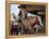 True Grit, John Wayne, 1969-null-Framed Stretched Canvas