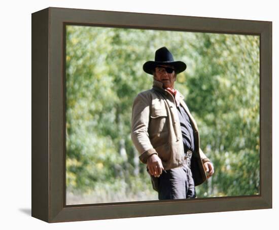 True Grit-null-Framed Stretched Canvas