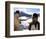 True Grit-null-Framed Photo