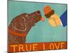 True Love Choc-Stephen Huneck-Mounted Giclee Print