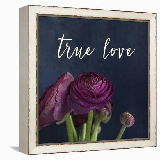 True Love-Susannah Tucker-Framed Stretched Canvas