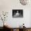 Truffle Dishes are Displayed by Paris Chef Charles Delrome, a Truffle Specialist-null-Photographic Print displayed on a wall