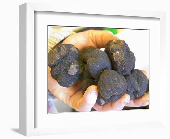 Truffle Hunter with Handful of Truffles at La Truffe De Ventoux Truffle Farm, Vaucluse, Rhone-Per Karlsson-Framed Photographic Print