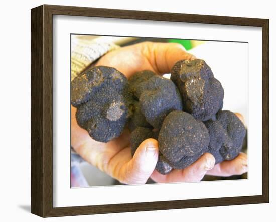 Truffle Hunter with Handful of Truffles at La Truffe De Ventoux Truffle Farm, Vaucluse, Rhone-Per Karlsson-Framed Photographic Print