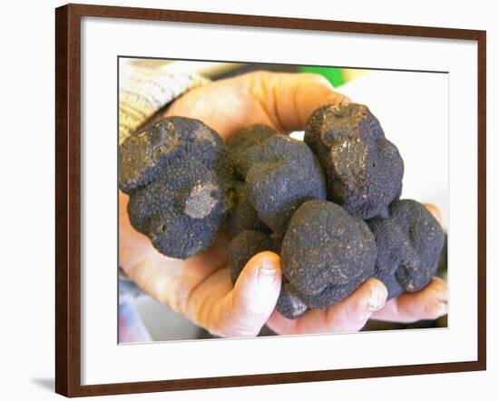 Truffle Hunter with Handful of Truffles at La Truffe De Ventoux Truffle Farm, Vaucluse, Rhone-Per Karlsson-Framed Photographic Print