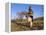 Truffle Producer with Pig Searching for Truffles in January, Quercy Region, France-Adam Tall-Framed Premier Image Canvas
