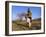 Truffle Producer with Pig Searching for Truffles in January, Quercy Region, France-Adam Tall-Framed Photographic Print