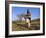 Truffle Producer with Pig Searching for Truffles in January, Quercy Region, France-Adam Tall-Framed Photographic Print