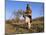 Truffle Producer with Pig Searching for Truffles in January, Quercy Region, France-Adam Tall-Mounted Photographic Print