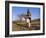 Truffle Producer with Pig Searching for Truffles in January, Quercy Region, France-Adam Tall-Framed Photographic Print