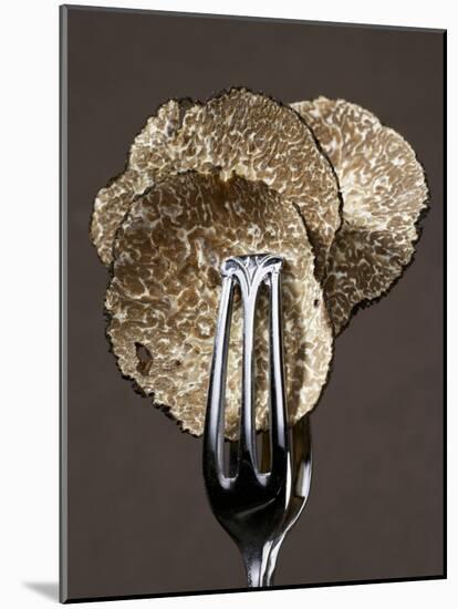 Truffle Slices in Tongs-Marc O^ Finley-Mounted Photographic Print