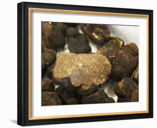 Truffles at La Truffe De Ventoux Truffle Farm, Vaucluse, Rhone, Provence, France-Per Karlsson-Framed Photographic Print