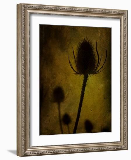 Trugen-Tim Kahane-Framed Photographic Print