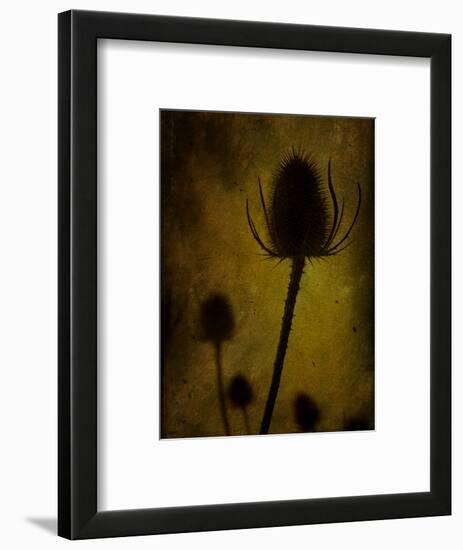 Trugen-Tim Kahane-Framed Photographic Print