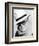 Truman Capote-null-Framed Photo