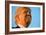 Trump Torture-Andrew Harnik-Framed Photographic Print