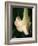 Trumpet Flower Single II-Nicole Katano-Framed Photo