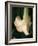 Trumpet Flower Single II-Nicole Katano-Framed Photo