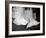 Trumpet Flowers Double-Nicole Katano-Framed Photo