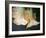 Trumpet Flowers Double-Nicole Katano-Framed Photo