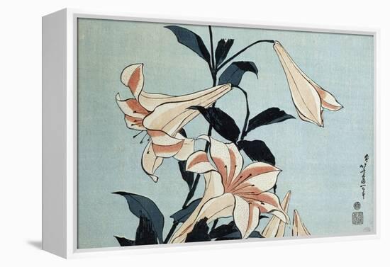 Trumpet Lilies-Katsushika Hokusai-Framed Premier Image Canvas