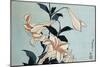 Trumpet Lilies-Katsushika Hokusai-Mounted Giclee Print