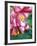 Trumpet Lily, Seattle, Washington, USA-Terry Eggers-Framed Photographic Print