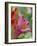 Trumpet Lily, Seattle, Washington, USA-Terry Eggers-Framed Photographic Print