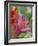 Trumpet Lily, Seattle, Washington, USA-Terry Eggers-Framed Photographic Print