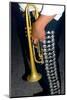 Trumpet player of a Mariachi Band in Cancun Mexico (MR)-Bill Bachmann-Mounted Photographic Print