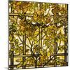 Trumpet Vine Leaded Glass Window-Tiffany Studios-Mounted Giclee Print