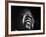 Trumpeter Louis Armstrong Belting Out His Famous Rendition of the Song "Hello Dolly" in a Nightclub-John Loengard-Framed Premium Photographic Print