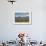 Trumpeter Swan Birds in Pond, Mission Mountain Range, Ninepipe, Ronan, Montana, USA-Chuck Haney-Framed Photographic Print displayed on a wall