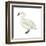 Trumpeter Swan (Cygnus Cygnus Buccinator), Birds-Encyclopaedia Britannica-Framed Art Print