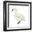 Trumpeter Swan (Cygnus Cygnus Buccinator), Birds-Encyclopaedia Britannica-Framed Art Print