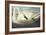 Trumpeter Swan (Olor Buccinator), Plate Ccccvi, from 'The Birds of America'-John James Audubon-Framed Giclee Print