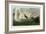 Trumpeter Swan-John James Audubon-Framed Art Print