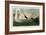 Trumpeter Swan-John James Audubon-Framed Art Print