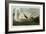 Trumpeter Swan-John James Audubon-Framed Art Print