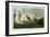 Trumpeter Swan-John James Audubon-Framed Art Print