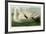 Trumpeter Swan-John James Audubon-Framed Premium Giclee Print