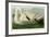 Trumpeter Swan-John James Audubon-Framed Premium Giclee Print